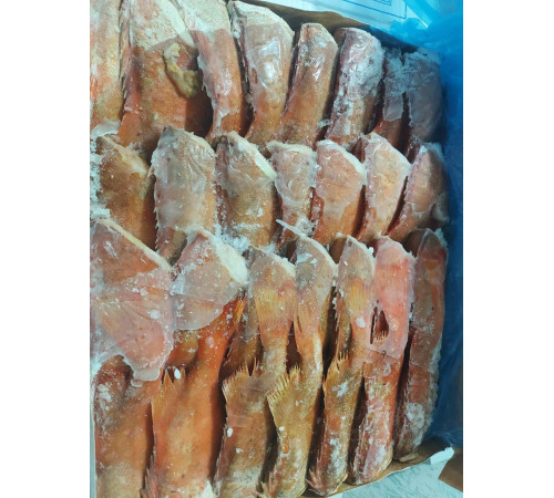 Морской окунь с/м без головы 500+ грамм