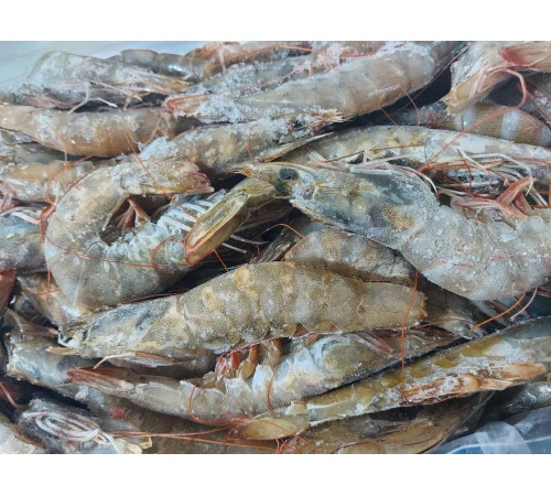 Креветка Ваннамей 70/80, сырая, с головой