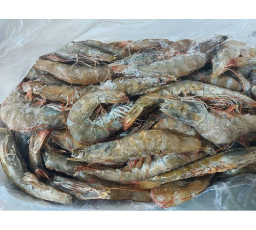 Креветка Ваннамей 70/80, сырая, с головой