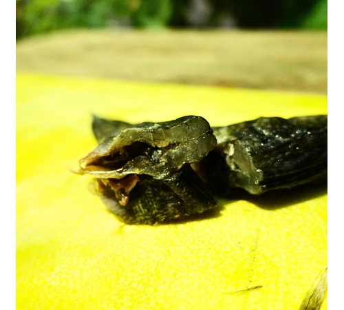 Бичок зеленчак, +-20-40 грам, в'ялений, 10-14см