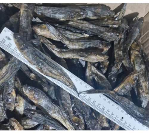 Бичок зеленчак, +-20-40 грам, в'ялений, 10-14см