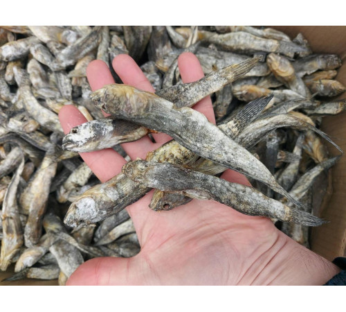 Бичок зеленчак, +-20-40 грам, в'ялений, 10-14см