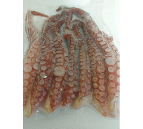 Щупальца осьминога вареные, вакуум 1 кг упаковка