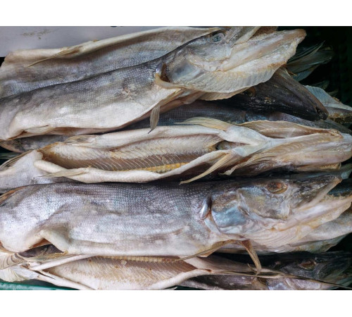 Щука вяленая, из Вилково, 200-400гр/шт