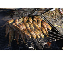 Барабулька (султанка) чорноморська, середня 11-12см