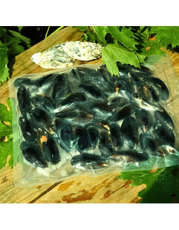 Мідії чілійські в мушлі 6-7 см, вар/мор 1 кг