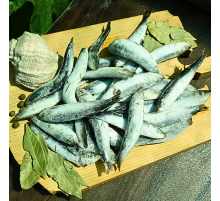 Сардина свіжоморожена, +- 12см