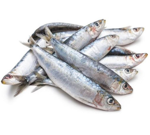 Сардина свіжоморожена, +- 12см