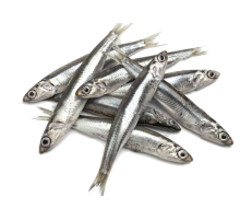 Анчоус чорноморський свіжоморожений, 500 грамів/уп., +-10см