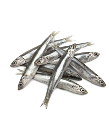 Анчоус чорноморський свіжоморожений, 500 грамів/уп., +-10см