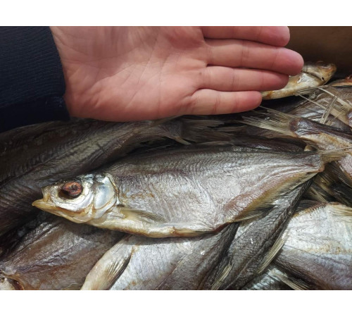 Синец вяленый, навеска 100-200 грамм