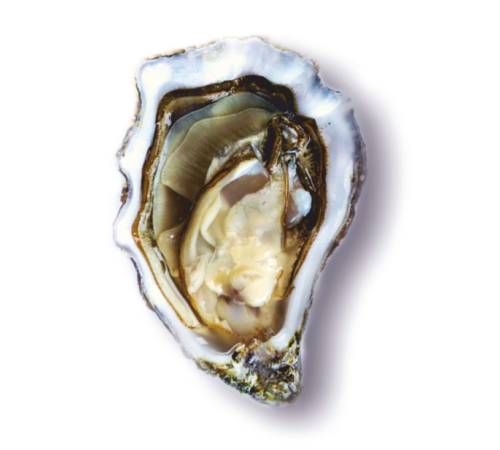 Устриці Gilardo №2 (мінім замовлення від 24 штук)