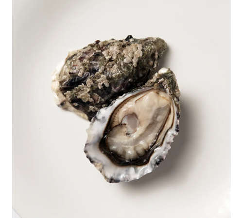 Устриці special de clere, Чорна Королева розмір №3 (мінім замовлення від 24 штук)