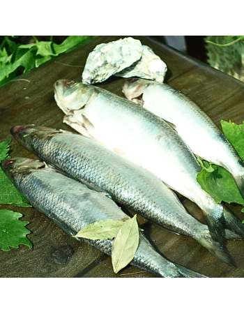 Дунайський оселедець малосольний, дунайка з Вилкове, +-4 - 5 шт на 1кг (патраний)