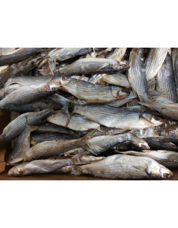 Кефаль в'ялена чорноморська +-10шт/кг