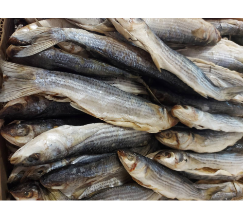 Кефаль вяленая черноморская +-10шт/кг