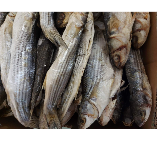 Кефаль вяленая черноморская +-10шт/кг