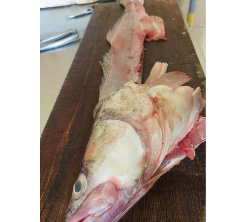 Суповий набір з судака (голова, хвіст, хребет), ваговий від 1 до 2кг