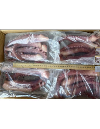 Щупальця гігантського кальмара привареноморожені