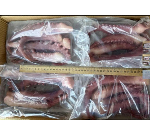 Щупальца гигантского кальмара приваренномороженные