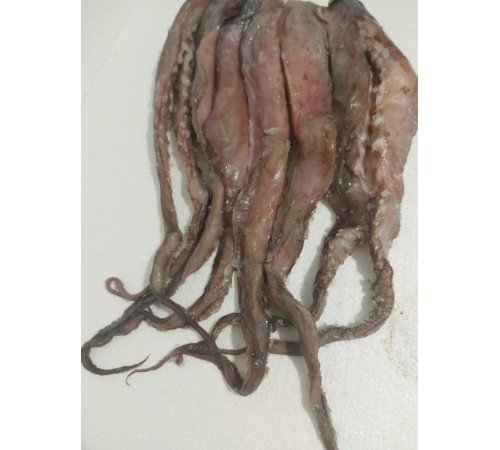 Щупальца гигантского кальмара приваренномороженные