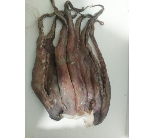 Щупальца гигантского кальмара приваренномороженные