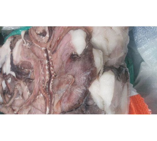 Щупальца гигантского кальмара приваренномороженные