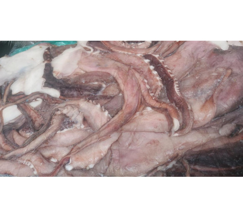 Щупальца гигантского кальмара приваренномороженные