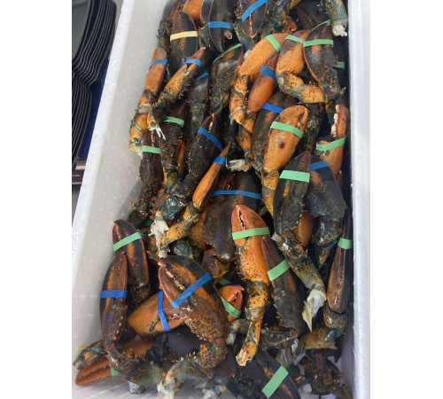 Клішні канадського лобстера (8-10шт/кг), 1кг