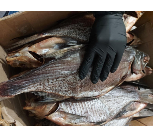 Лещ вяленый без икры, размер 300-500 грамм