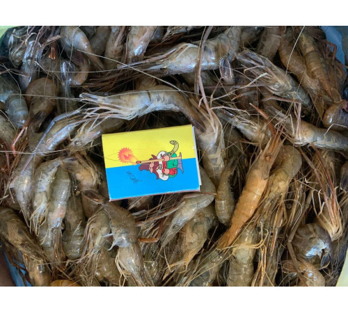 Креветка Розенберга свіжоморожена, розмір 2-4 см/шт