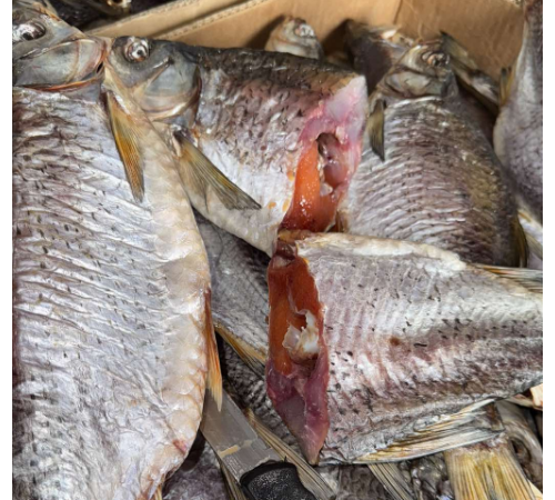 Тарань Мега крупная вяленая, икряная 100%, нечищенная, (размер 2-3шт/кг)