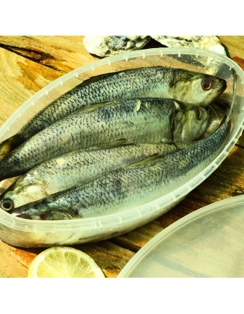 Дунайка малосольна (лодочка), з Вилкове, ціла  5-6 шт на +-1кг (патрана)