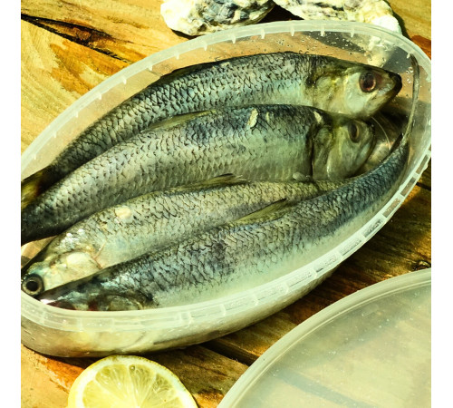 Дунайка малосольна (лодочка), з Вилкове, ціла  5-6 шт на +-1кг (патрана)