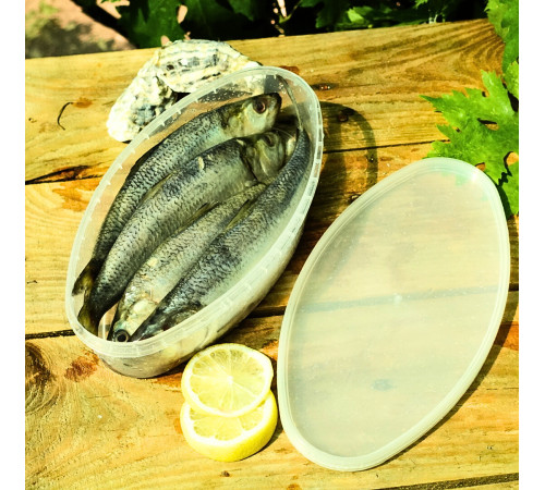 Дунайка малосольна (лодочка), з Вилкове, ціла  5-6 шт на +-1кг (патрана)