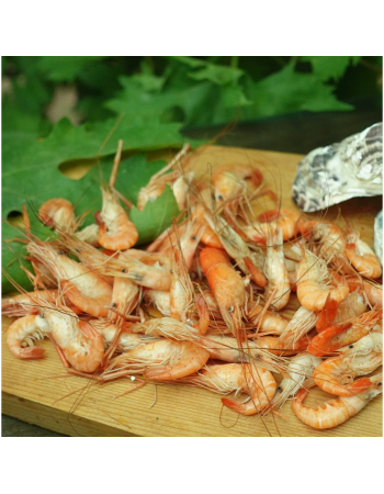 Креветка Розенберга вареноморожена, розмір 2-4 см/шт