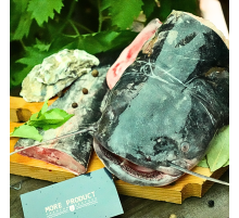 Суповий набір із сома свіжоморожений (вкуумний пакет +-1кг)