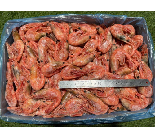Креветки норвежські варені, 50/70 шт/кг. 7-9см. Без глазурі.