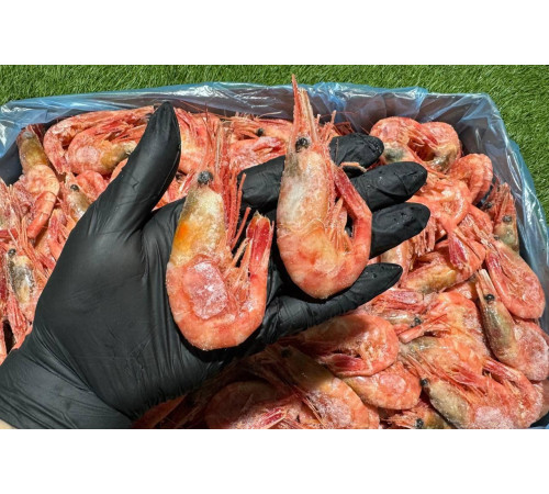 Креветки норвежські варені, 50/70 шт/кг. 7-9см. Без глазурі.