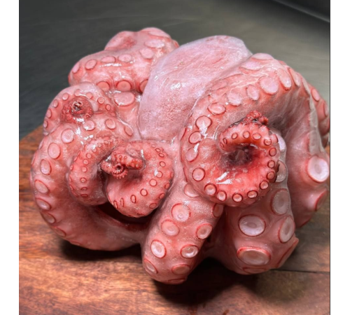 Восьминіг цілий, ваговий 1,0-1,5кг, ціна за 1кг