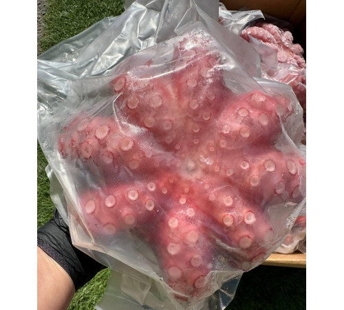 Восьминіг цілий, ваговий 1,0-1,5кг, ціна за 1кг