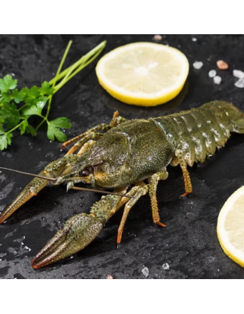 Раки охолоджені мілко-середні до 35 шт/кг (30-50грам/штука)