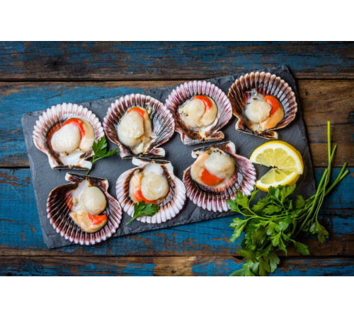 Гребешки в полуракушке