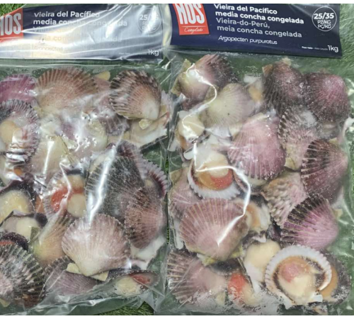 Гребешки в полуракушке