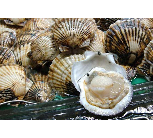 Гребешки в полуракушке