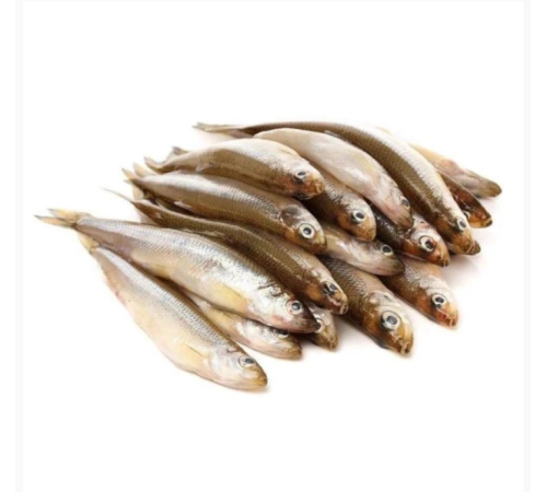 Корюшка аргентинська свіжоморожена, 20 см+