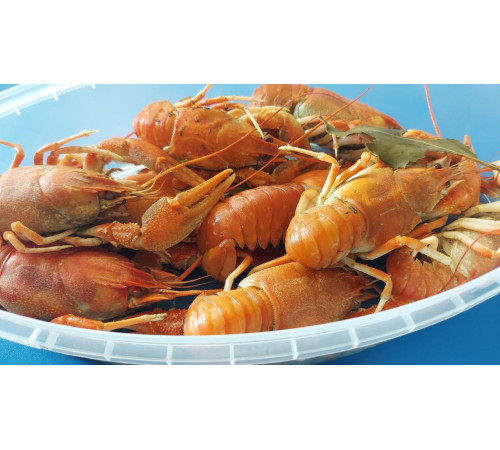 Раки варені морожені 500грам (лодочка) з Вилкове до 17шт/упак