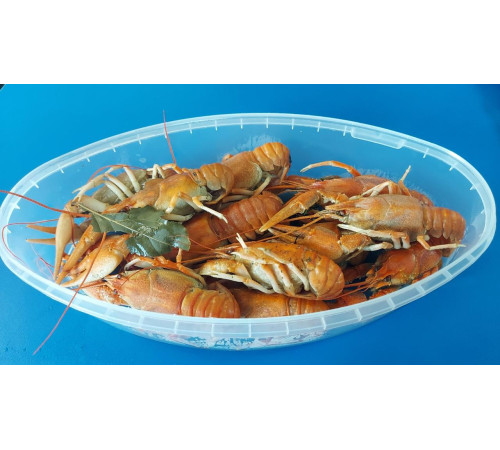 Раки варені морожені 500грам (лодочка) з Вилкове до 17шт/упак