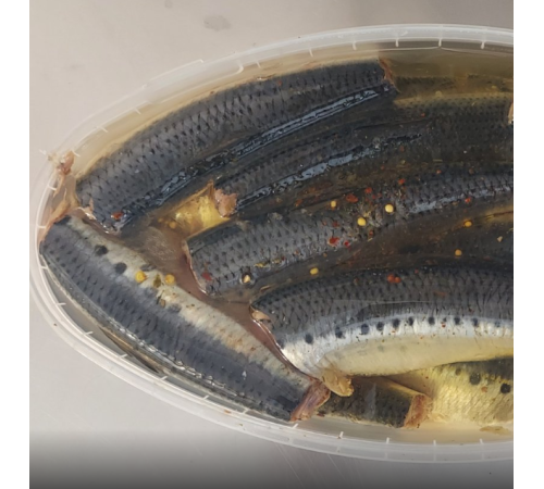 Івасі в олії (лодка - 1,3кг)